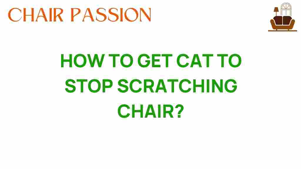 how-to-get-cat-to-stop-scratching-chair