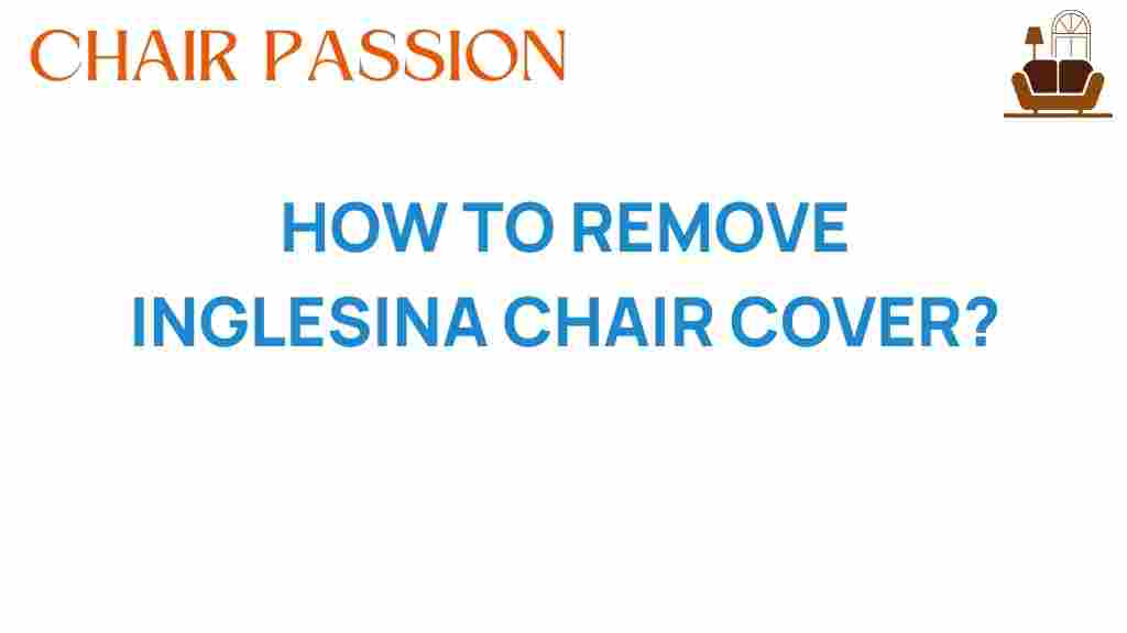 remove-inglesina-chair-cover