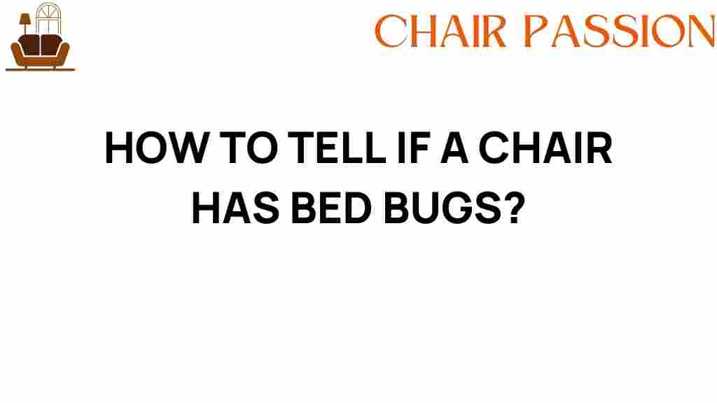 how-to-tell-if-a-chair-has-bed-bugs