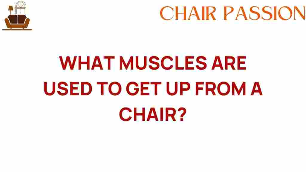muscles-used-to-get-up-from-a-chair