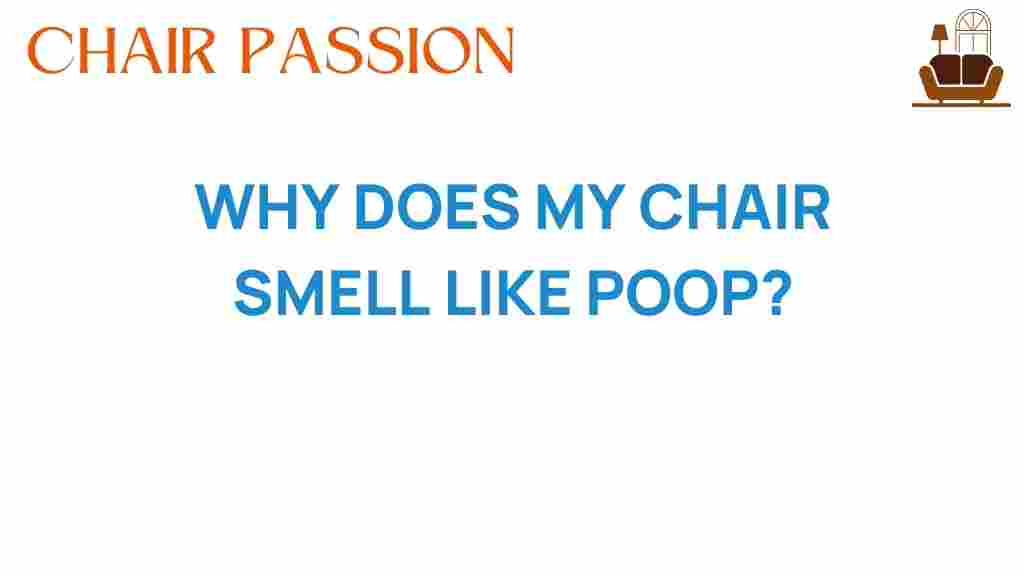 why-does-my-chair-smell-like-poop